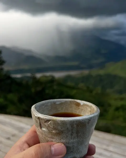Momentos en Nuestra Finca Cafetera