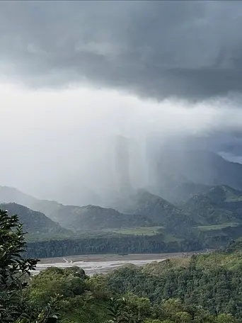 Momentos en Nuestra Finca Cafetera